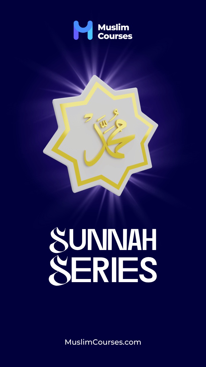 سلسلة السنن, 1 of 4